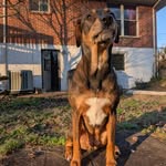 Rocco Baker - @taco_baker - Instagram