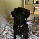 Rocco - @roccobaker_ - Instagram
