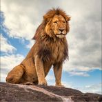 Rocco Boyd - Facebook