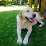 Rocco Caporusso - Facebook
