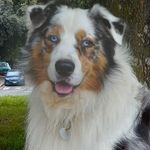 Rocco Cavuoti - @rocco_cavuoti - Instagram