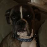 Rocco Cunningham - @rocco_cunningham - Instagram