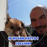 Rocco Di Nardo - @roccodi.nardo - Instagram