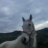 Rocco Dinardo - @rocco.dinardo - TikTok
