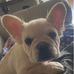Rocco DiRocco - Facebook