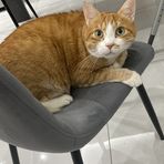 Rocco Fioretti - Facebook