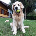 Rocco Fioretti - Facebook