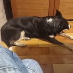 Rocco Giurocco - @rocc.ogiunta - Instagram