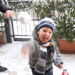 Rocco - @rocco_giustii - Instagram