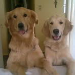 Rocco Golden - Facebook