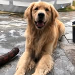 Rocco Golden - Facebook