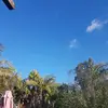 roccojacksonnn - @roccojacksonnn - TikTok