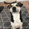 user2188408330223 - @roccojackson123 - TikTok