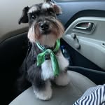 ROCCO JOHNSON - @roccojohnson_gt - Instagram