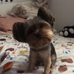 Rocco Johnson - @rocco.johnson.3192 - Instagram