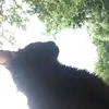 roccojohnson2 - @roccojohnson2 - TikTok