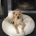 Rocco Longo - @rocco.longo.779 - Instagram