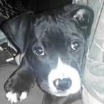 Rocco Mike MILLER - @i_rocco_miller_ - Instagram