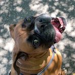 Rocco Miller - Facebook