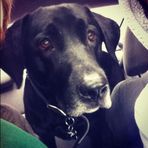 Rocco Miller - Facebook