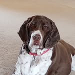 Rocco Miller - @rocco.miller.127 - Instagram