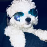 hi! my name is rocco mitchell! - @theroccomitchell - Instagram
