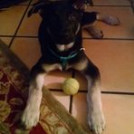 Rocco Mitchell - Facebook