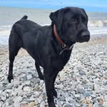 rocco_mitchell - @roccoray2025 - Instagram