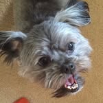 Rocco (rockstar) Mitchell - @roccomitchell - Instagram
