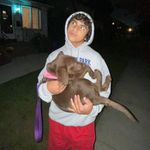 Rocco Natale - @rocco61809 - Instagram