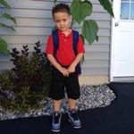 Rocco Natale - @rocjr1221 - Instagram
