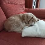 Rocco Noeri - Facebook