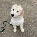 Rocco Patel - @rocco.patel1321 - Instagram
