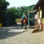 rochij.carlos - @roccopecoraro23 - Instagram