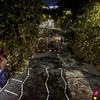 roccorichards_ - @roccorichards_ - TikTok