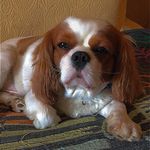 •R & R💥 - @rocco._rizzo - Instagram