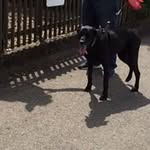 Rocco Rizzo - @rizzo8971 - Instagram