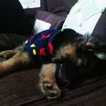 Rocco sanchez - @roccosanchez4 - Instagram