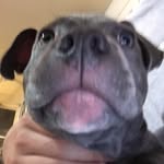 Rocco Sanchez - @roccothethird - Instagram