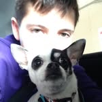 Rocco Sanchez - @paws4dogs657 - Instagram