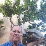 @santangelo_rocco_giuseppe - Instagram