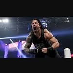 Rocco Sicari - @rocco.sicari - Instagram