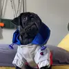 roccotorres8 - @roccopugpuppy - TikTok