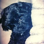 Wiley Rocco Walsh-Prince - @wileyrocco - Instagram