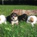 Rochelle Bender - Facebook