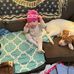 Rachelle Downing - Facebook