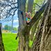 Rochelle Forrest Hankins - Facebook