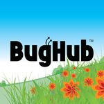 Rochelle Forrest Hankins - @bughub.tv - Instagram