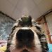 Rochelle Frank - Facebook