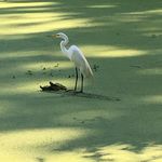 Rochelle Goldstein Bay - @rochelle.8 - Instagram